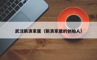 武汉新浪家居（新浪家居的创始人）